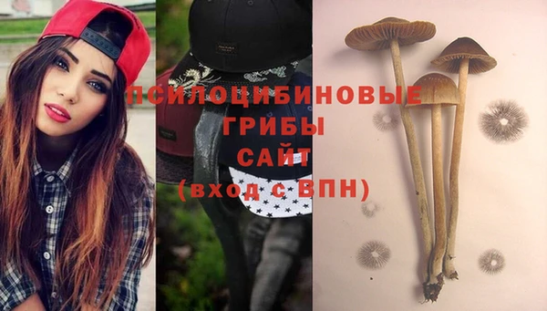 меф Алексин