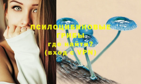 каннабис Алзамай