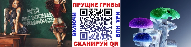 KRAKEN онион  Люберцы  Псилоцибиновые грибы мухоморы 